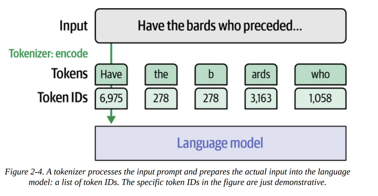 Figure 2-4: A tokenizer processes the input prompt and prepares the actual input into the language model: a list of token IDs.